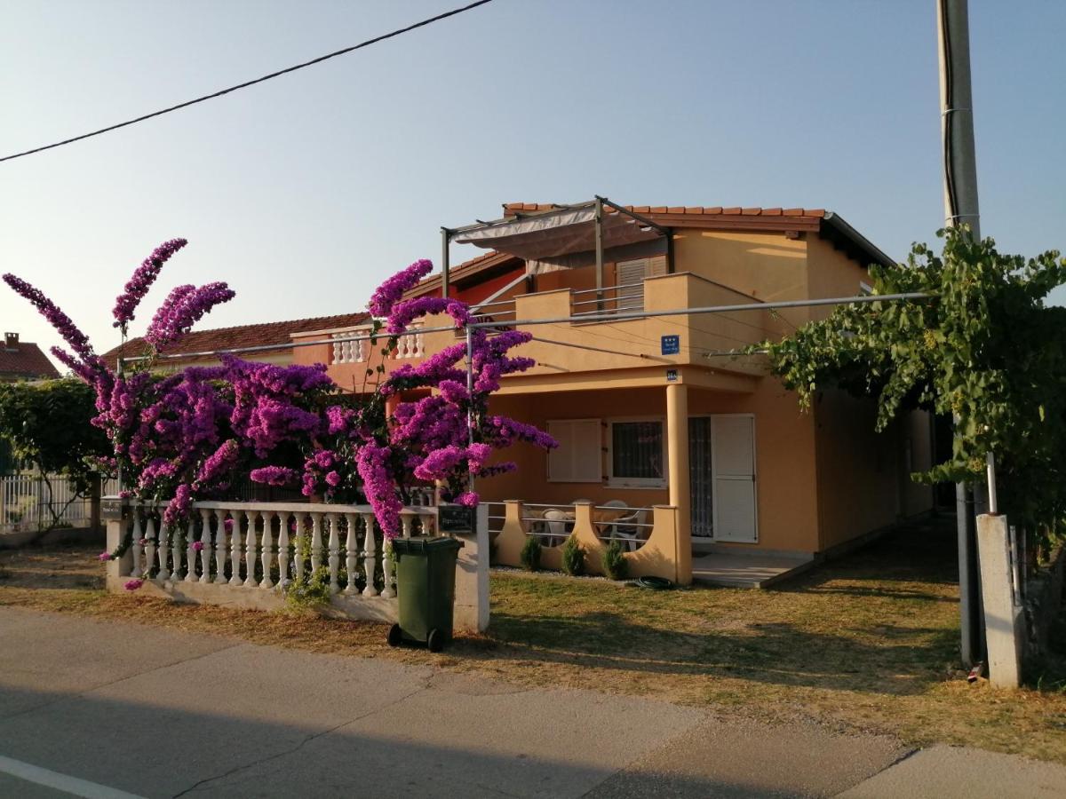דירות ביוגראד נה מורו Marina מראה חיצוני תמונה